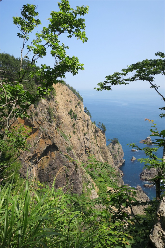 f:id:daifukupon:20170710104302j:image f:id:daifukupon:20170710104302j:image