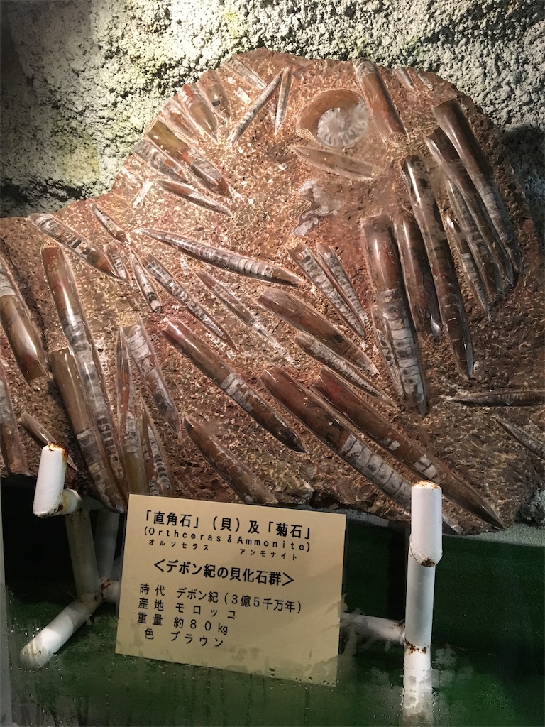 f:id:daifukupon:20170710215004j:image f:id:daifukupon:20170710215004j:image