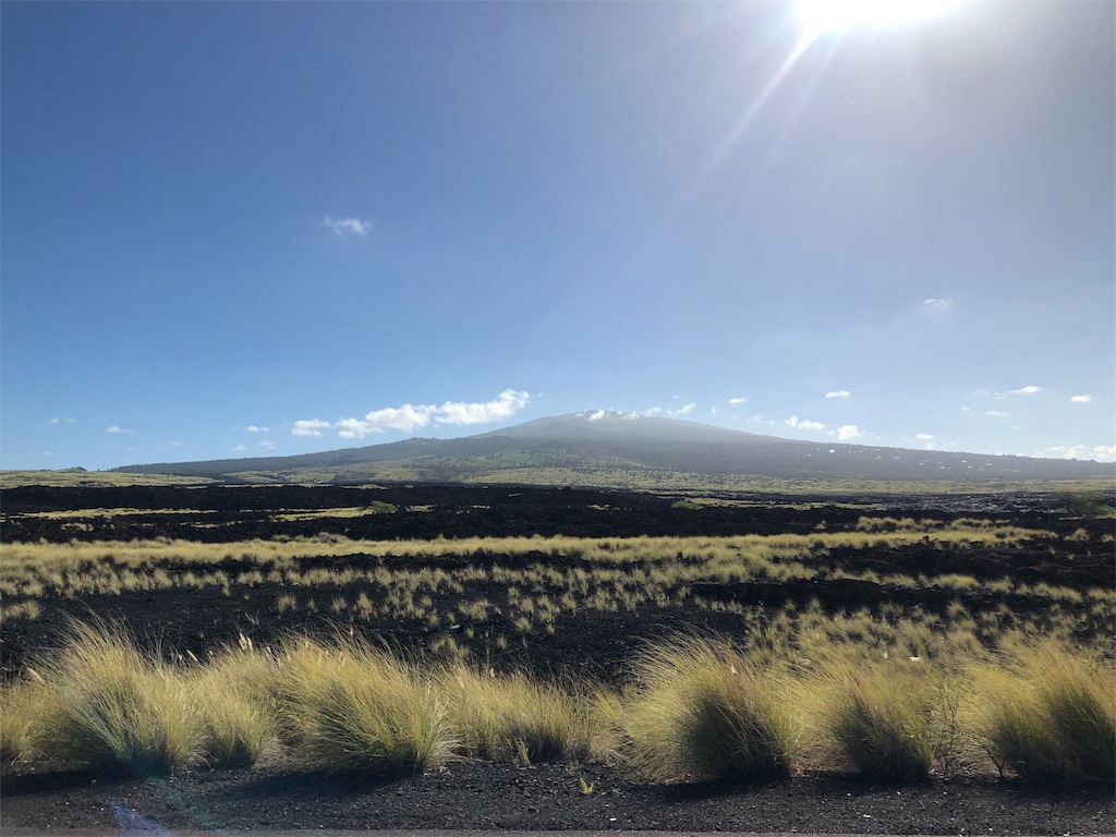 f:id:daifukupon:20191225141230j:image f:id:daifukupon:20191225141230j:image