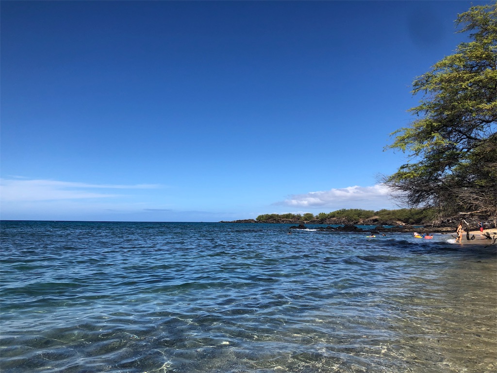 f:id:daifukupon:20191225141306j:image f:id:daifukupon:20191225141306j:image