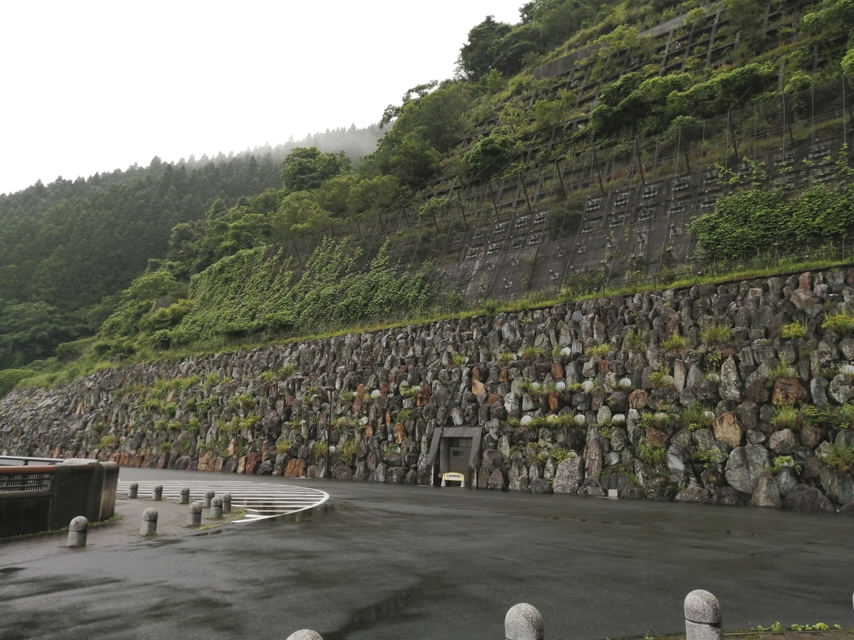 f:id:daifukupon:20200801102617j:plain f:id:daifukupon:20200801102617j:plain
