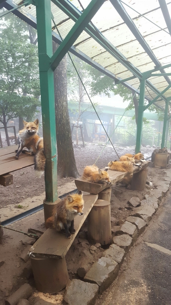 f:id:daigakukabuu:20170826010533j:plain