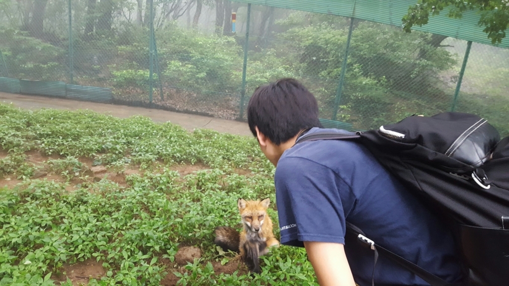 f:id:daigakukabuu:20170826010646j:plain