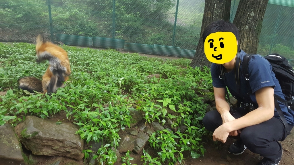 f:id:daigakukabuu:20170826010659j:plain