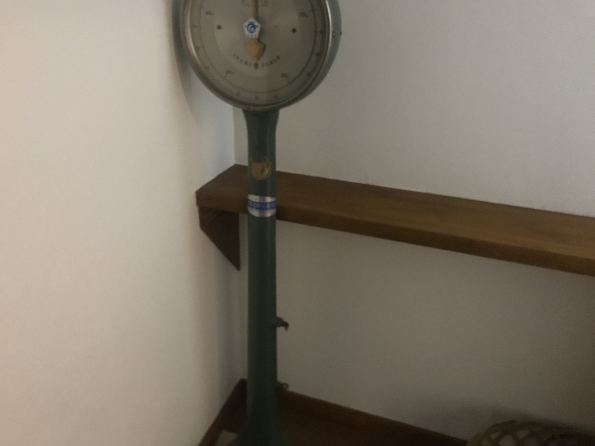 f:id:daigakuseino:20190523214529j:plain f:id:daigakuseino:20190523214529j:plain