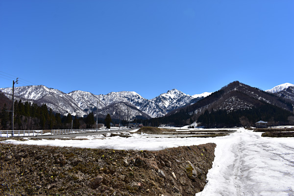 f:id:daigentanoen:20190416194124j:plain f:id:daigentanoen:20190416194124j:plain