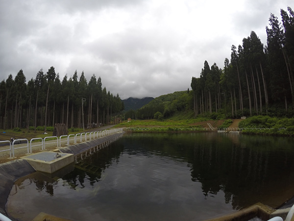 f:id:daigentanoen:20190616231823j:plain f:id:daigentanoen:20190616231823j:plain