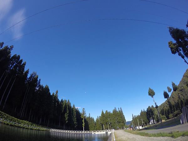 f:id:daigentanoen:20191018192430j:plain