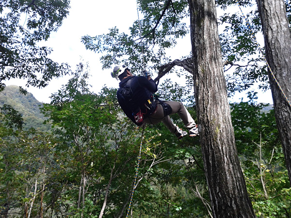 f:id:daigentanoen:20191018192514j:plain