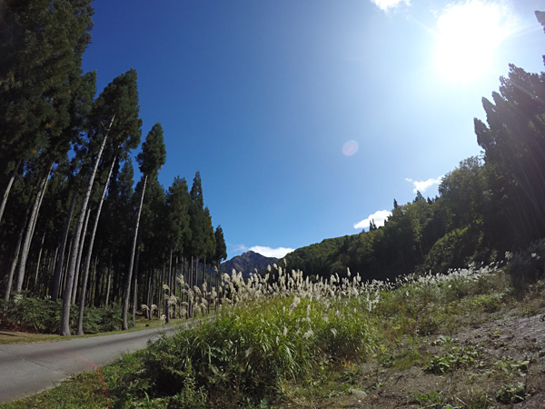 f:id:daigentanoen:20191019190207j:plain