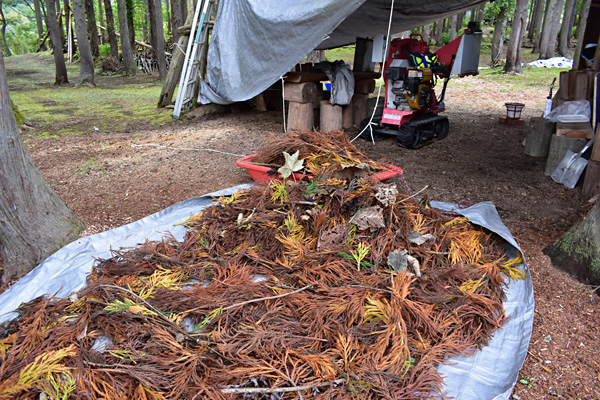 f:id:daigentanoen:20191022190219j:plain f:id:daigentanoen:20191022190219j:plain