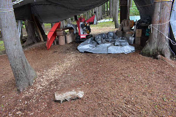 f:id:daigentanoen:20191022190240j:plain f:id:daigentanoen:20191022190240j:plain