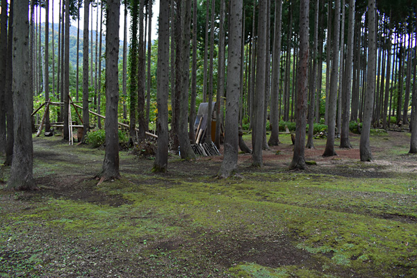 f:id:daigentanoen:20191022190304j:plain f:id:daigentanoen:20191022190304j:plain