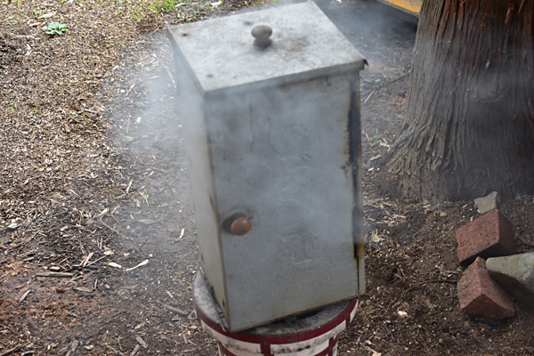 f:id:daigentanoen:20191022190350j:plain f:id:daigentanoen:20191022190350j:plain