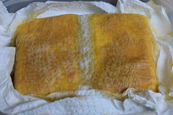 f:id:daigentanoen:20191022190503j:plain f:id:daigentanoen:20191022190503j:plain