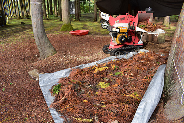 f:id:daigentanoen:20191023222102j:plain f:id:daigentanoen:20191023222102j:plain