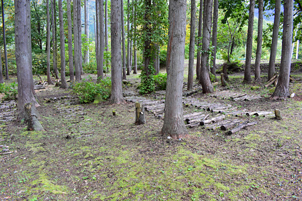 f:id:daigentanoen:20191024205715j:plain f:id:daigentanoen:20191024205715j:plain