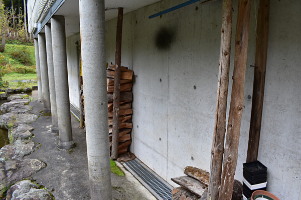 f:id:daigentanoen:20191024205919j:plain f:id:daigentanoen:20191024205919j:plain