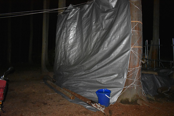 f:id:daigentanoen:20191024210040j:plain f:id:daigentanoen:20191024210040j:plain