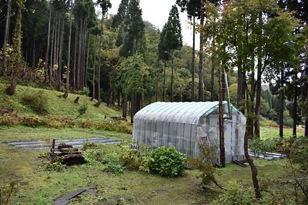 f:id:daigentanoen:20191026192604j:plain f:id:daigentanoen:20191026192604j:plain