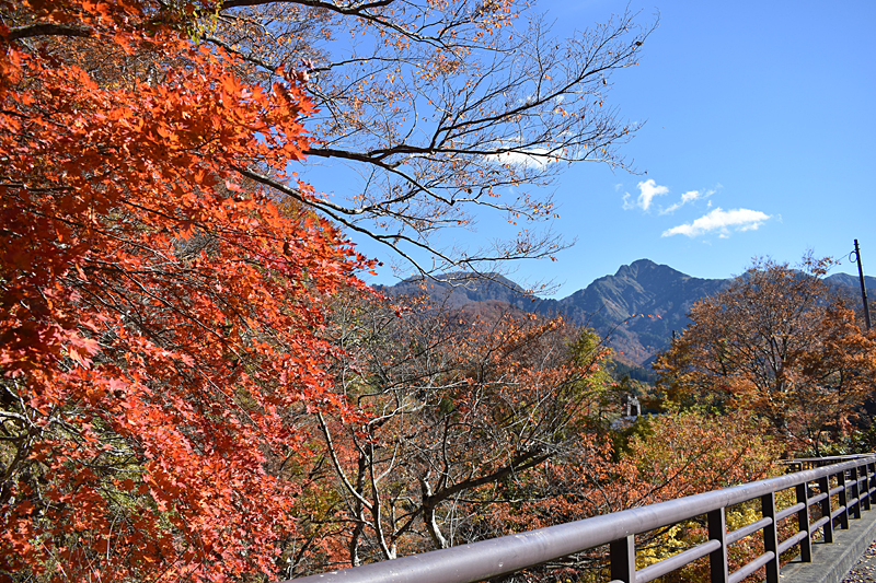 大源太山の紅葉がきれい - 大源太農園のブログ