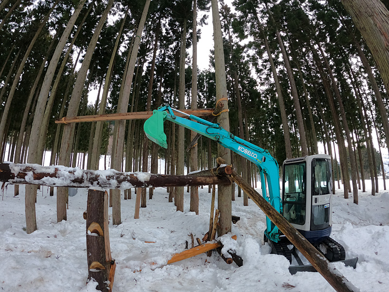 木登り練習場に横木設置 - 大源太農園のブログ