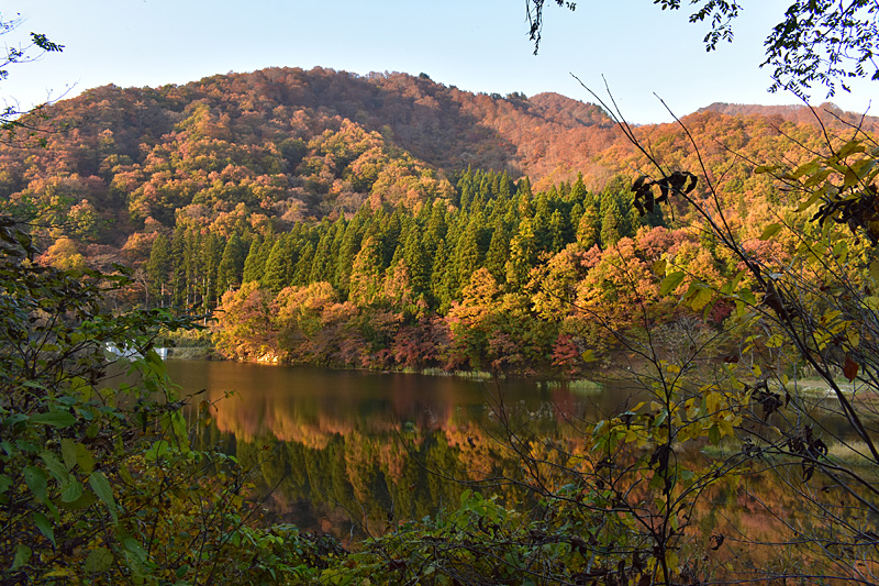大源太湖の紅葉ピーク - 大源太農園のブログ