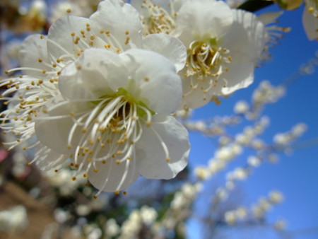 20090218094351