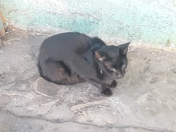 f:id:daigo520:20210607202302j:plain