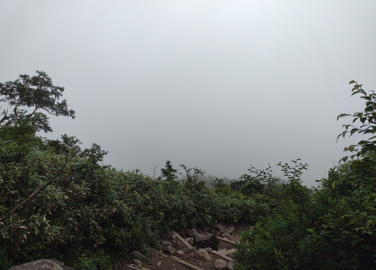 f:id:daigo520:20210902182847j:plain