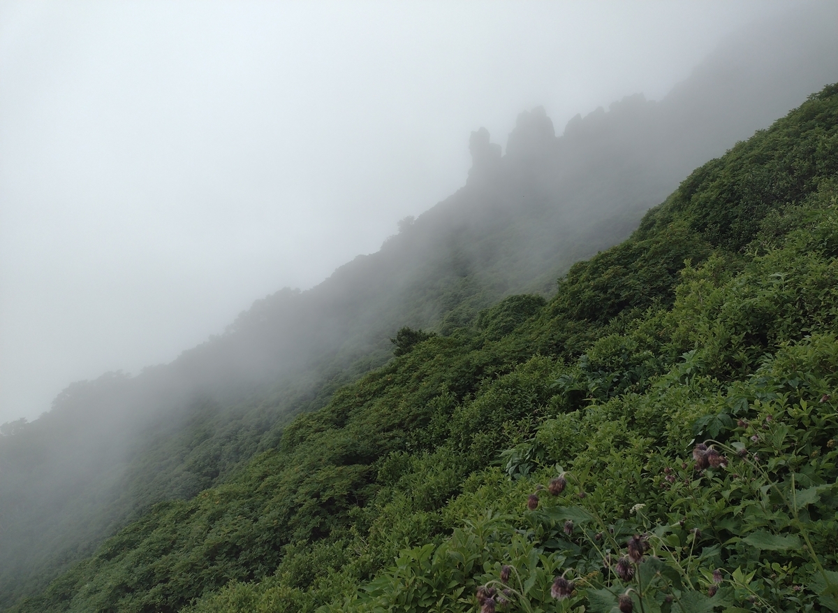 f:id:daigo520:20210902185005j:plain