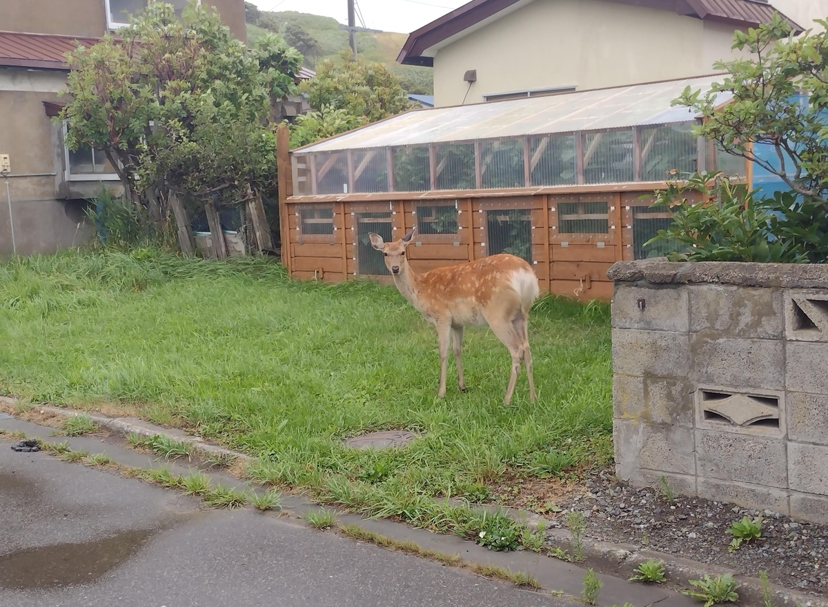 f:id:daigo520:20220413233332j:plain