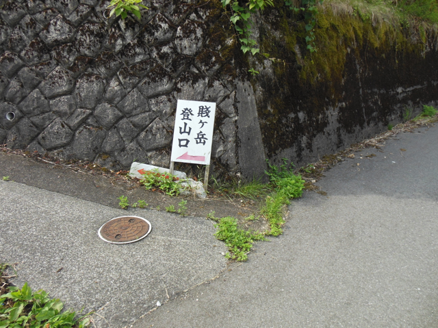 f:id:daigodon:20150719084139j:image:w480