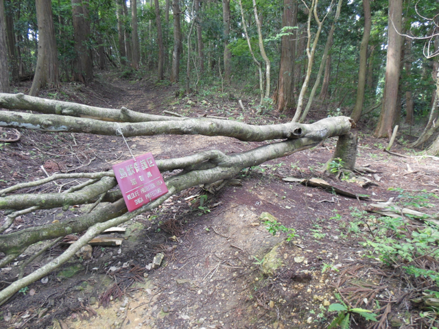 f:id:daigodon:20150719084207j:image:w480
