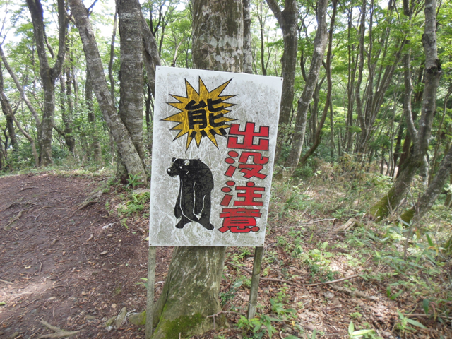 f:id:daigodon:20150719084331j:image:w480