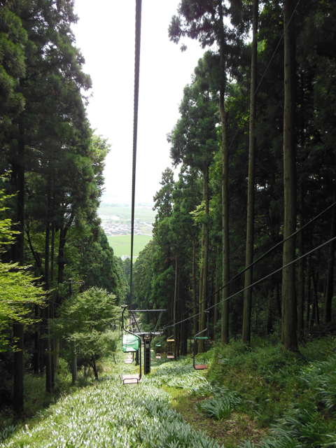 f:id:daigodon:20150719084751j:image:w360