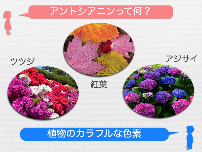 f:id:daigokuz:20130529222133p:image