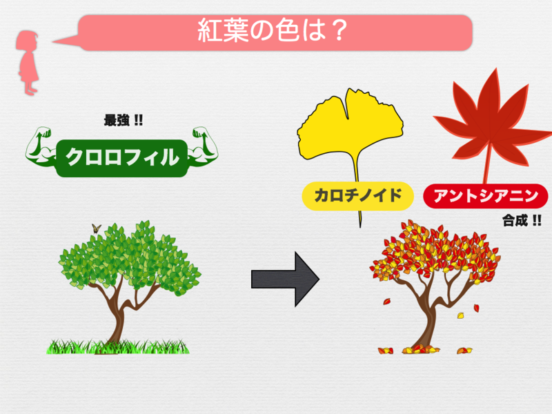 f:id:daigokuz:20130529222136p:image