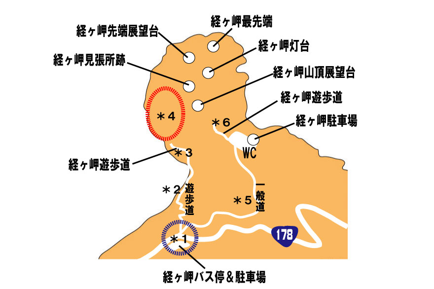 f:id:daigoro3388:20200707233405j:plain