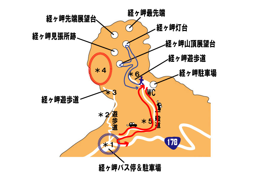 f:id:daigoro3388:20200708003959j:plain