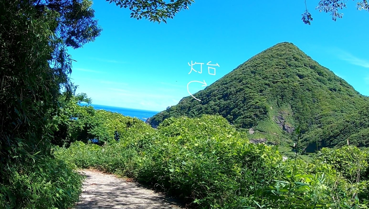 f:id:daigoro3388:20200726174931j:plain