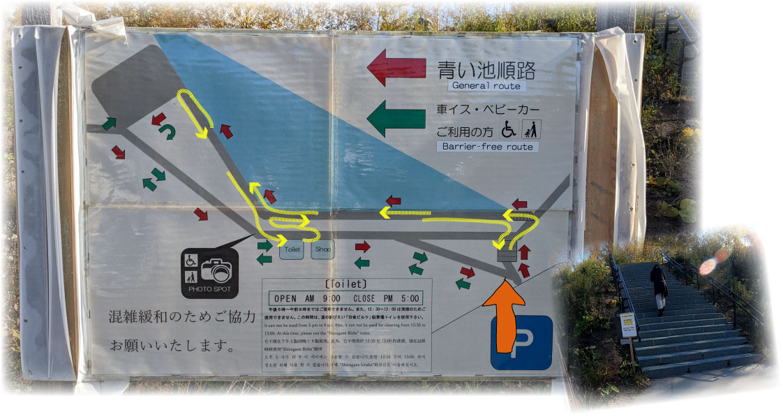 f:id:daigoro3388:20201031135125j:plain