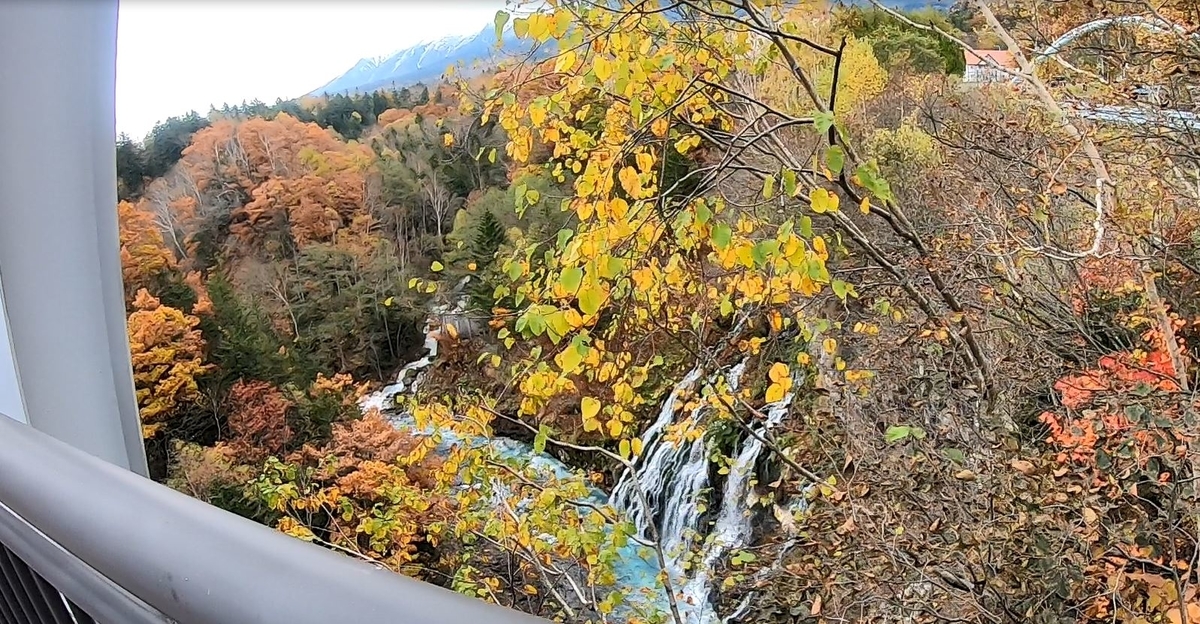 f:id:daigoro3388:20201110081837j:plain