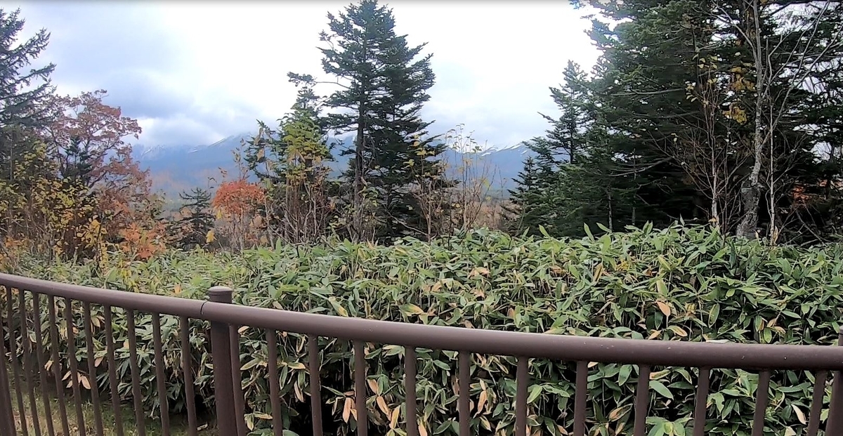 f:id:daigoro3388:20201110084010j:plain