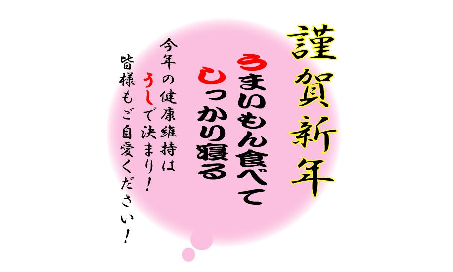 f:id:daigoro3388:20210101084611j:plain