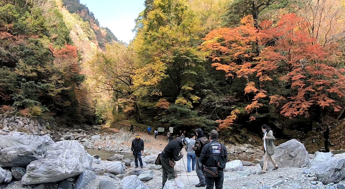 f:id:daigoro3388:20210124081400j:plain