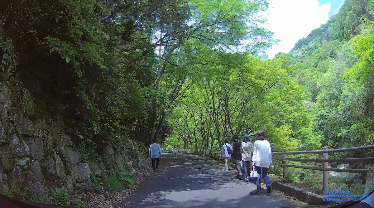 f:id:daigoro3388:20210520134636j:plain
