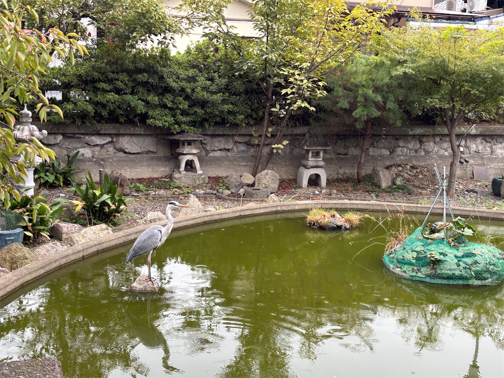 f:id:daihian:20251026011700j:image f:id:daihian:20251026011700j:image