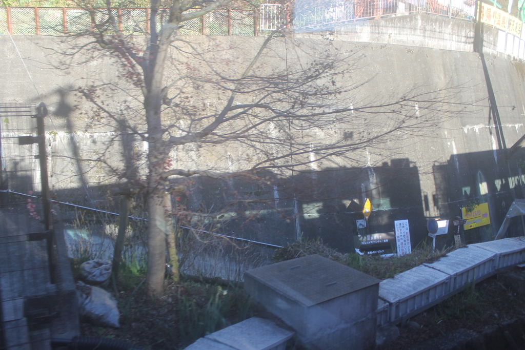 f:id:daihida:20181230224104j:plain