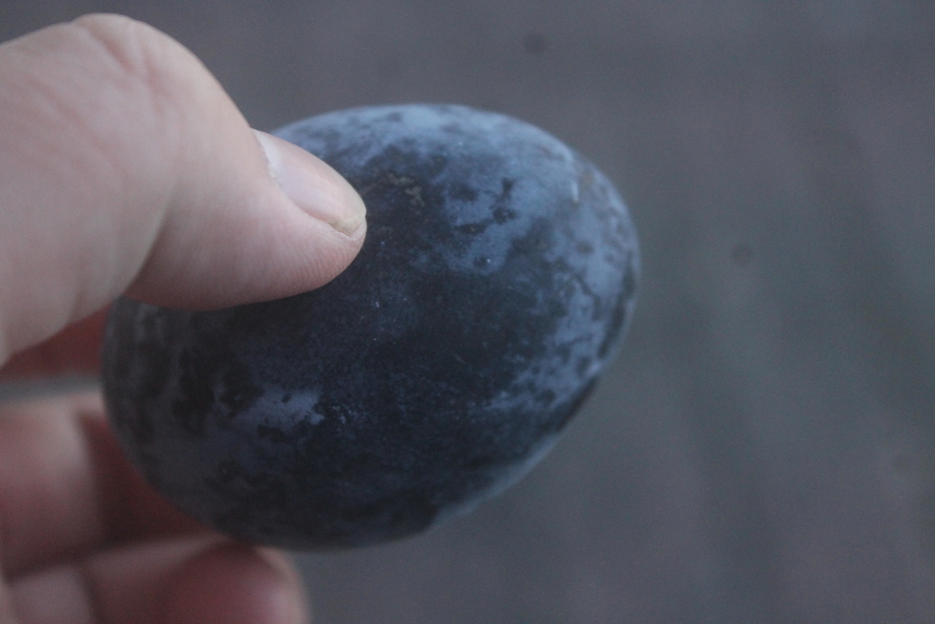 f:id:daihida:20181231084541j:plain